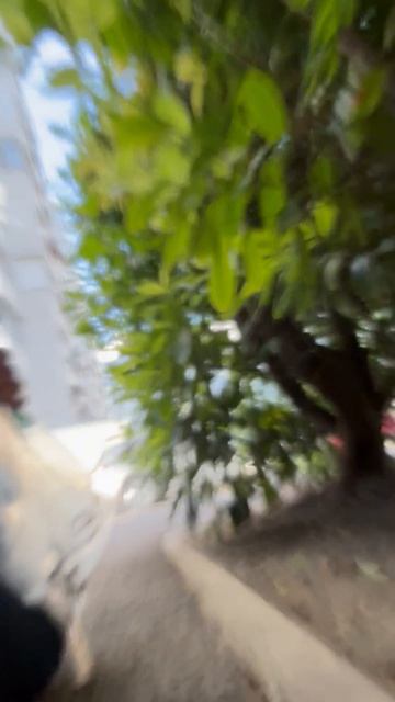 Разбиваю чехол смотреть онлайн