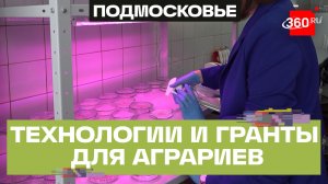 Как сельские территории развиваются в Подмосковье?