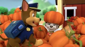 1 час лучших спасательных миссий Щенячьего патруля, сезон 1!  | Nick Jr. Cyrillic
