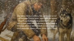 ТАЙГА.  Рассказы охотника. Истории о тайге.