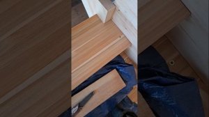 1000058342.mp4 (Собака наблюдает за устройством лестницы на 2-ой этаж в доме А-фрейм)