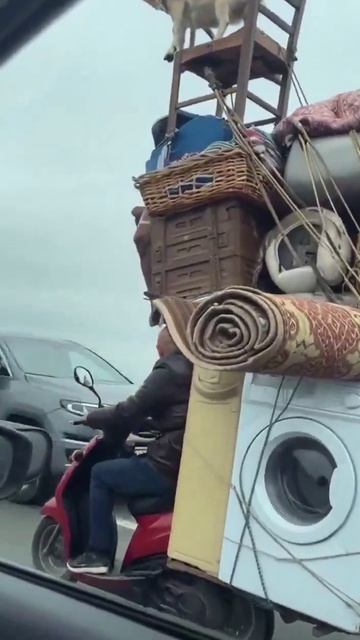 Коза на вершине