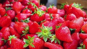 Вкус раннего лета