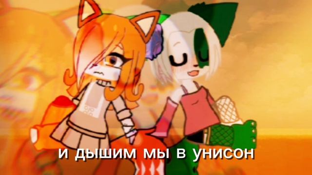для лисицы Милки ❤️..