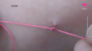 Опаснее, чем кажется