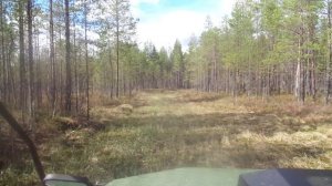 по заболоченой трассе