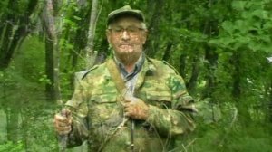 Грибной поход