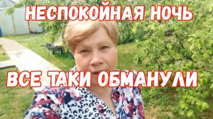 256🏡Было тревожно/Куб свалился/Обманули все таки/Как я выращиваю перец