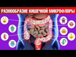 Как улучшить здоровье? Микрофлора кишечника – самое главное 🙌
