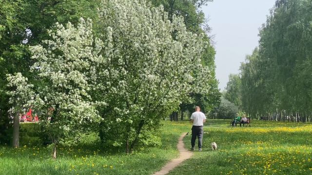 Казань сегодня