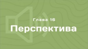 Глава 16: Перспектива | Деньги любят счет | Аудиокнига