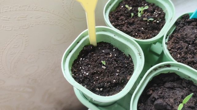 15.05.26Одного желания мало... 