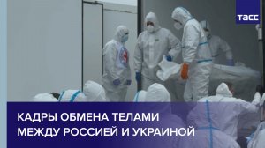 Кадры обмена телами между Россией и Украиной