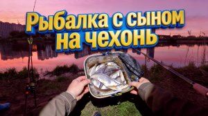 Вторая рыбалка на чехонь с сыном: 16 штук и лучший закат 🎣