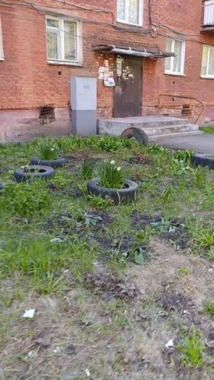 scene_output.mp4
