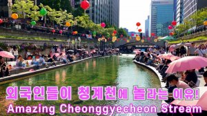 외국인들이 청계천을 보고 놀라는 이유 부처님 오신날 등축제, 광화문 분수쇼, 청계천 책읽는 도선관 까지, 서울여행워커