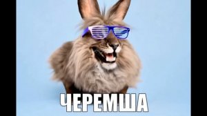 🔥😂 ЧЕРЕМША 💀 САМЫЙ УГАРНЫЙ МЕМ 🤣 ПРИКОЛЫ ДО СЛЁЗ 💯 СМЕШНЫЕ ВИДЕО 🔥 ТРЕШ И КРИНЖ