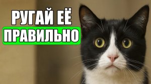 Как ПРАВИЛЬНО Наказать Кошку, Чтобы Она Поняла (а не боялась)!!!