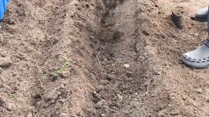 СКОЛЬКО СДЕЛАЛИ,- УПАСТЬ и ВСТАТЬ🐝🪛🌿☘️☘️☘️🌾🌾🌱🌱🌱🌱🌾🐂🚙🚙🚙🚙🚙🍕🍕🌭