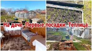 На даче// Первые посадки// Демонтаж теплицы