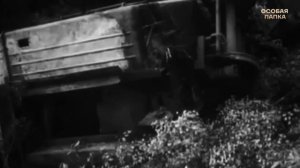 Правда О Взрыве в Арзамасе 1988 г.