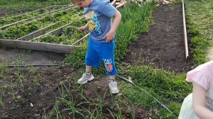 ВЕЧЕР МУЖ СКЛАДЫВАЕТ ДРОВА, У МЕНЯ ПРОПОЛКА.