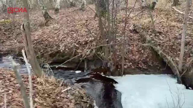 Сахалыы АСМР: Звук журчащего ручья