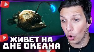 11 Самых Удивительных Обитателей Марианской Впадины | РЕАКЦИЯ МАЗЕЛЛОВА
