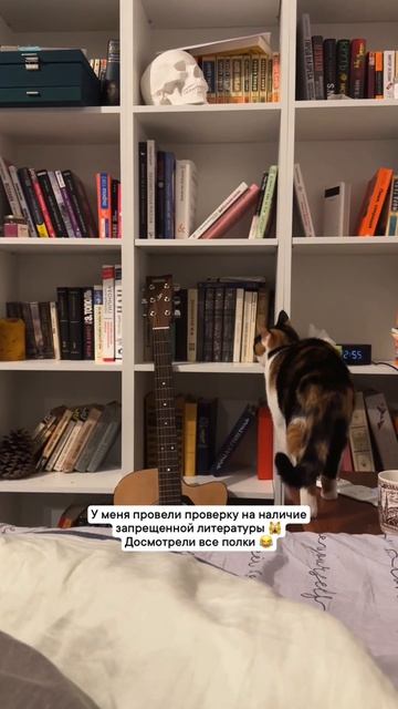 Отделалась взяткой в виде дримсов