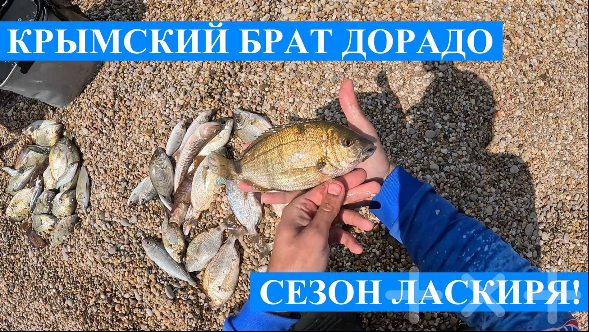 Первая рыбалка на ЛАСКИРЯ в новом сезоне!! - ловля на ультралайт с сапа в окрестностях Севастополя! смотреть онлайн