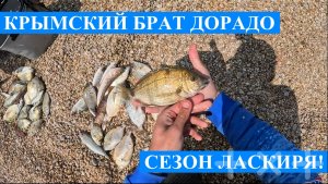 Первая рыбалка на ЛАСКИРЯ в новом сезоне!! - ловля на ультралайт с сапа в окрестностях Севастополя!