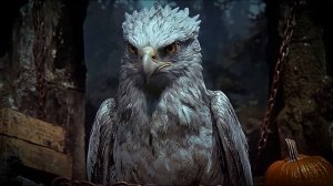 «Гарри Поттер» как мрачный фэнтезийный фильм ужасов 1980-х годов Harry Potter Dark Fantasy Horror