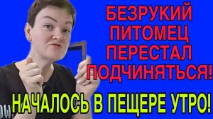 ПИТОМЕЦ ПЕРЕСТАЛ ПОДЧИНЯТЬСЯ. ПИРАТСКАЯ ЖИЗНЬ. ОБЗОР.