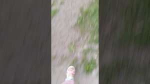 идём в магазин