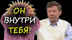 Твои эмоции ЖРЕТ ПАРАЗИТ. Экхарт Толле о том, как убить негатив навсегда