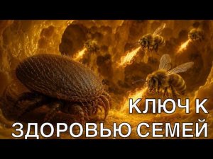 КЛЮЧ К ЗДОРОВЬЮ СЕМЕЙ