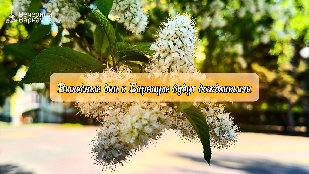 Выходные дни в Барнауле будут дождливыми
