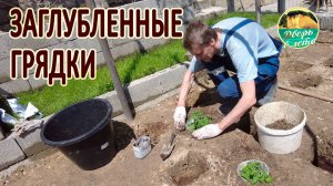 Заглубленные грядки и обзор участка