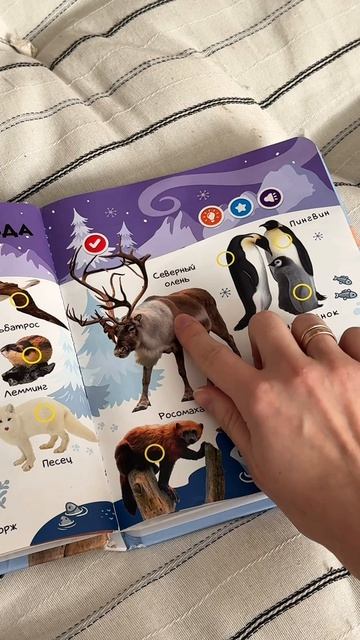 Игрушки BertToys не только увлекательны но и помогают малышам развивать речь память и внимание.