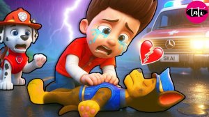 Щенячий патруль и Маршалл. Залипательное видео. Мультфильм для детей и малышей. Анимация 544