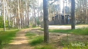 Пригородный лес | Моя прогулка по лесу