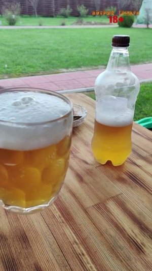 Прекрасный майский вечер 🍺