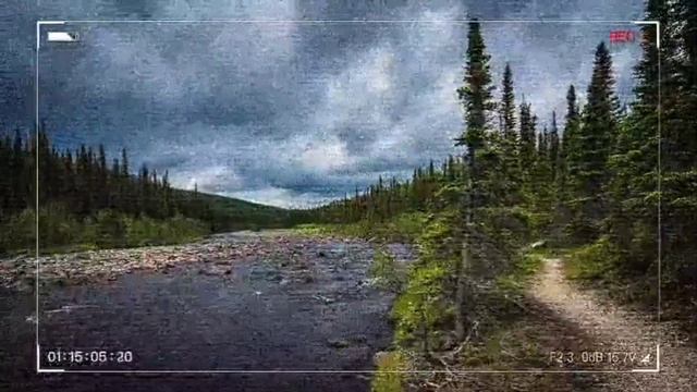 ТАЙГА. ОН НАШЁЛ ЕЁ В ГЛУШИ... ИСТОРИЯ из жизни.