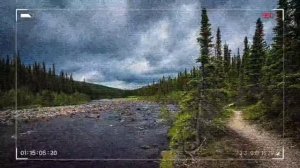 ТАЙГА. ОН НАШЁЛ ЕЁ В ГЛУШИ... ИСТОРИЯ из жизни.