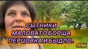САМВЕЛ АДАМЯН, СЫТНИКИ, МАЛОВАТО БОРЩА, ПЕРЦОВКА И БЫДЛО.