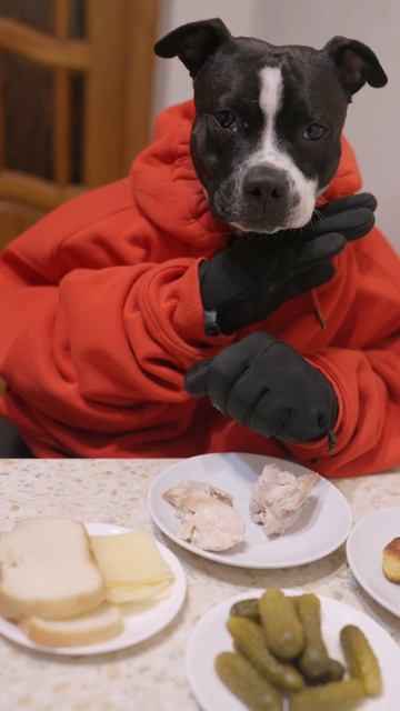 Как надо работать с мясом? Обучение от Доры 🐶
