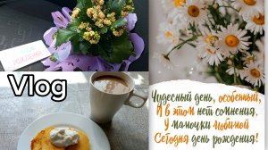 РЕЗУЛЬТАТЫ УЗИ /ПОЕЗДКА В ДЕРЕВНЮ🏡/ДЕНЬ РОЖДЕНИЯ МАМОЧКИ 🥰