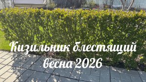 Video_20260515-165559