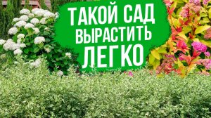 Малоуходный сад. Какие декоративные кустарники выбрать?