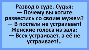 Развод в суде: почему вы хотите развестись с мужем?... | Анекдоты смешные | Юмор